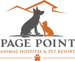 Page Point Animal Hospital & Pet Resort