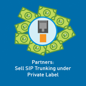 View post: Partners: Drive revenue by selling SIP Trunking under our Private Label Reseller model