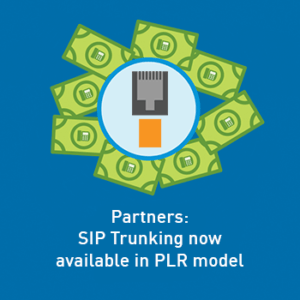 View post: Partners: Drive revenue by selling SIP Trunking under our PLR model