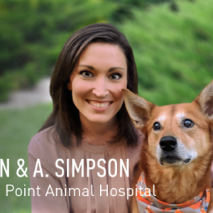 View post: Animal Hospital and Pet Resort Sets New Standards with Customer Experience Using Intermedia Unite.
